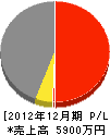 平井組 損益計算書 2012年12月期