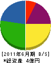 富士総建 貸借対照表 2011年6月期