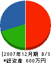 飯田工務店 貸借対照表 2007年12月期