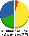 中村新興園 貸借対照表 2010年6月期