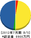 柳沢ガーデン 貸借対照表 2012年7月期