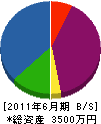 中日本緑化 貸借対照表 2011年6月期