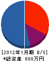 日本開発 貸借対照表 2012年1月期