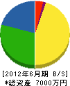 長崎建設 貸借対照表 2012年6月期