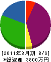 大成アクシス 貸借対照表 2011年3月期