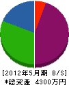 武藤建設 貸借対照表 2012年5月期