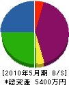 東京建設 貸借対照表 2010年5月期