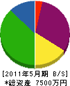 総合電機 貸借対照表 2011年5月期