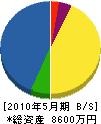 長岡建設 貸借対照表 2010年5月期