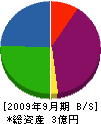 ワールドコミュニティー 貸借対照表 2009年9月期