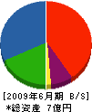 西浦木工 貸借対照表 2009年6月期