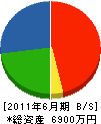 津島土建 貸借対照表 2011年6月期