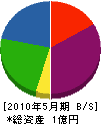川崎建設 貸借対照表 2010年5月期