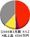 榊原工業 損益計算書 2009年3月期