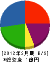 石川建設 貸借対照表 2012年3月期