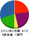 松本電気 貸借対照表 2012年3月期