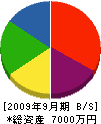 桜井造園土木 貸借対照表 2009年9月期