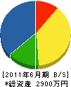 佐々木電機工業 貸借対照表 2011年6月期