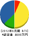 岡村電話 貸借対照表 2012年6月期