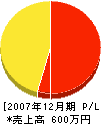 枝坂工業 損益計算書 2007年12月期