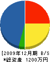 田畑左官工業 貸借対照表 2009年12月期