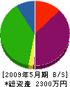 石川土木 貸借対照表 2009年5月期
