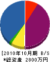 仲川電機商会 貸借対照表 2010年10月期