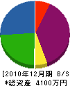 春洋 貸借対照表 2010年12月期
