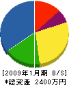 西沢建設 貸借対照表 2009年1月期