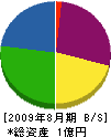 青柳組 貸借対照表 2009年8月期