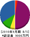 窪塗装工業 貸借対照表 2010年9月期