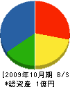 三栄工業 貸借対照表 2009年10月期