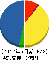 寿電興 貸借対照表 2012年5月期