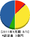 丸電三浦電機 貸借対照表 2011年9月期