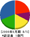 日本アステック 貸借対照表 2008年6月期