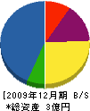 森井組 貸借対照表 2009年12月期