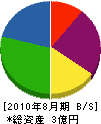 東京綜合造園 貸借対照表 2010年8月期