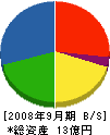 亀井組 貸借対照表 2008年9月期