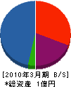 串木野建設工業 貸借対照表 2010年3月期
