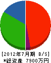 川野産業 貸借対照表 2012年7月期