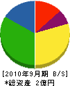 平井工業 貸借対照表 2010年9月期