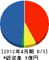 東京グリーンサービス 貸借対照表 2012年4月期