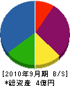 稲葉商店 貸借対照表 2010年9月期