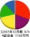 田島工業 貸借対照表 2007年12月期