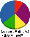 稲葉商店 貸借対照表 2012年9月期