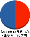 藤沢昭電社 貸借対照表 2011年12月期