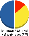 松本電機 貸借対照表 2009年9月期