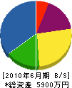 西村電気工事 貸借対照表 2010年6月期