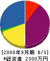 藤田工務店水道部 貸借対照表 2008年9月期