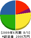 國松興産 貸借対照表 2009年6月期